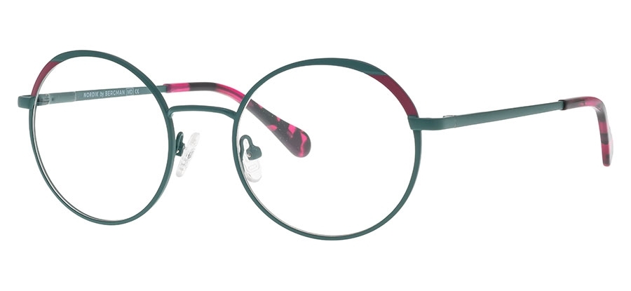 Okulary korekcyjne NORDIK 9518 C9