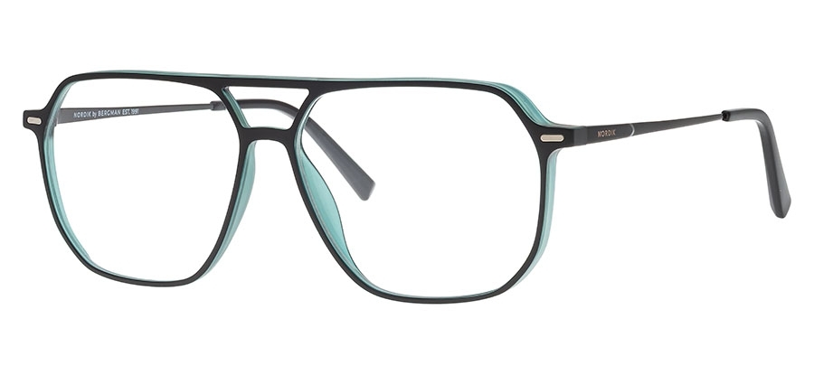 Okulary korekcyjne NORDIK NC666 C9